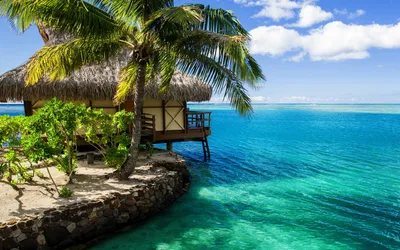 картинки : рай, Медовый месяц, море, лето, день отдыха, Синий, солнце,  Мальдивы, Пляжное бунгало, Бунгало для воды, Карибы, Песчаный пляж,  Расслабление 4000x3000 - - 1368368 - красивые картинки - PxHere