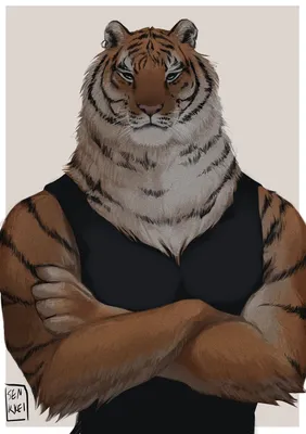 Face Of Тигра — стоковые фотографии и другие картинки Тигр - Тигр, Лицо  человека, Голова животного - iStock