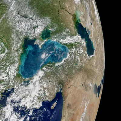 НАСА сообщило об изменении цвета Черного моря