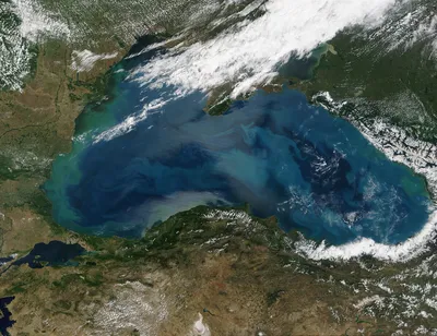 Власти Турции оценили нефтегазовый потенциал Черного моря | ИА Красная Весна