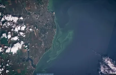 Астронавт NASA показал, как невероятно Черное море выглядит из космоса –  Люкс ФМ