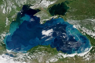 Фото: Черное море стало бирюзово-жемчужным - Российская газета