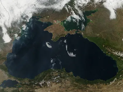 Цветение\" Черного моря показали из космоса.