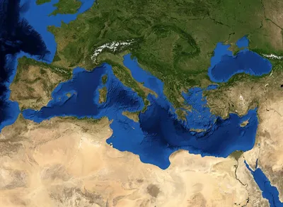 Глубинный яд. Ученый из Турции пригрозил катастрофой Чёрного моря | Природа  | Общество | Аргументы и Факты
