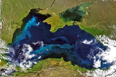 Черное море: 10 удивительных фактов, о которых вы и не догадывались |  Путешествия по рекам, морям и океанам | Дзен