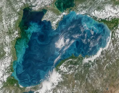 NASA показало фото из космоса: Черное море становится бирюзовым - ФОКУС