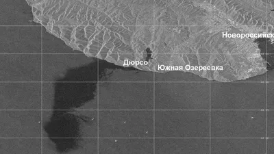 В РАН заявили о превышении разлива нефти в Черном море в 400 тыс. раз — РБК