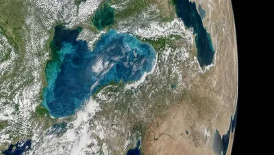 Черное море стало бирюзовым - NASA - РИА Новости Крым, 17.06.2017