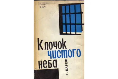 В Сочи будут внедрять концепцию «чистого неба»