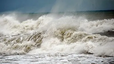 Туристы просто в шоке: Чёрное море превратилось в помойку