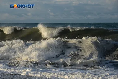 Туриста нашли мертвым в акватории Черного моря у берегов Абхазии