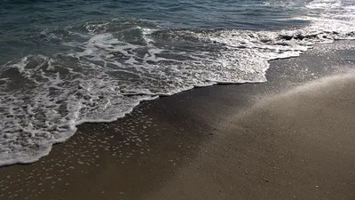 Море чистое, можем быть спокойны – эколог о ситуации в акватории Черного  моря в Грузии - 13.07.2023, Sputnik Грузия