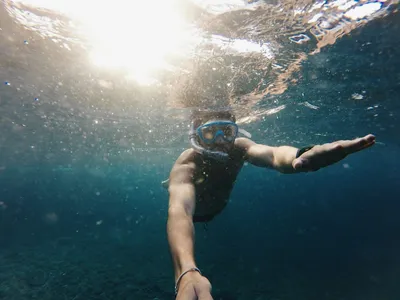 Подводные скульптуры и арт-наслаждение нырянием | FreeDiver.me