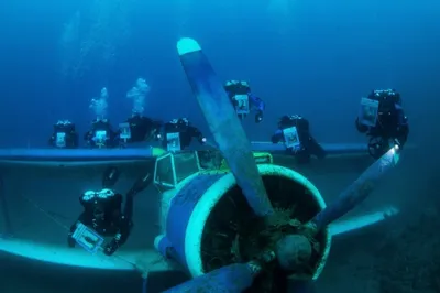 Дайвинг в холодной воде | дайвинг центр PADI PoliDive