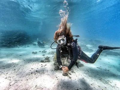 Дайверов Подводного Плавания С Аквалангом Веселье Под Водой Diving Глубоким  Море Внизу — стоковые фотографии и другие картинки Дайвинг - iStock