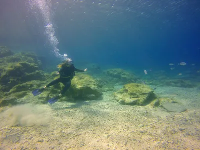 картинки : море, воды, океан, человек, дайвинг, Подводный, Синий, Плавание,  свободное погружение, водные виды спорта, отдых на свежем воздухе, Морская  биология, Подводное плавание 3948x2924 - - 52574 - красивые картинки -  PxHere