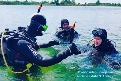 Пара Дайверов Плоский Каракули Иллюстрации Люди Плавают Под Водой Водная  Активность Экстремальные Виды Спорта Наблюдение За Морской Жи — стоковая  векторная графика и другие изображения на тему Дайвинг с аквалангом - iStock