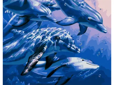 Дельфины под водой (53 фото) - 53 фото