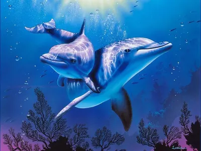 Детский рисунок пастелью \"Дельфины под водой\" Stock Illustration | Adobe  Stock