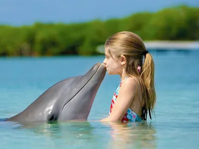 Дельфинотерапия 2024 — лечение и отдых в Евпатории - Официальный сайт  «Голубая лагуна»