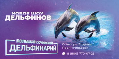 Дельфинарии Кайо-Коко и Кайо-Гильермо