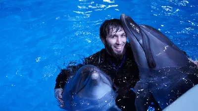 Большой Сочинский Дельфинарий - дельфинотерапия, зоопарк РиО...