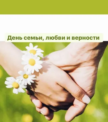 День семьи, любви и верности на Бородинском поле - Бородино