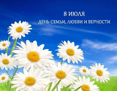 День семьи, любви и верности пройдет в Костроме масштабно (ПОЛНАЯ  ПРОГРАММА) - Logos44