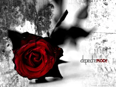 Music Depeche Mode HD Wallpaper