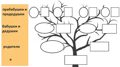 Лучшие программы для составления генеалогического древа семьи
