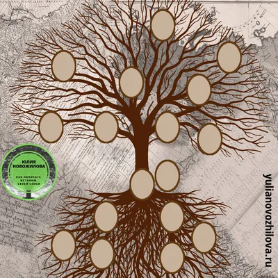 Генеалогическое древо семьи. Родословная. Воспитателям детских садов,  школьным учителям и педагогам - Маам.ру