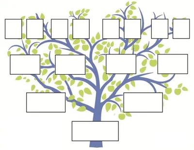 Генеалогическое дерево семьи (шаблон, вектор) в интернет-магазине Ярмарка  Мастеров по цене 1490 ₽ – R1C8WBY | Фотокартины, Саратов - доставка по  России