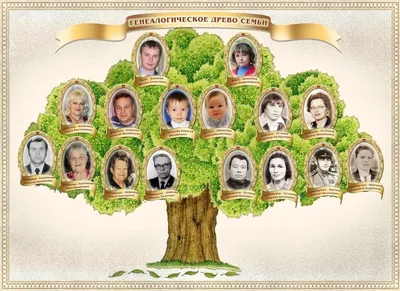 Что символизирует генеалогическое древо, и как его правильно оформить |  История одной семьи | Дзен