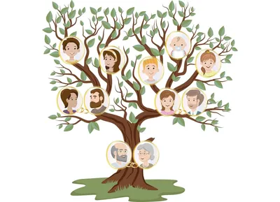 Как нарисовать генеалогическое дерево семьи карандашом своими руками? Как  составить родос… | Генеалогическое древо, Семейное дерево проекты, Семейное  дерево шаблоны