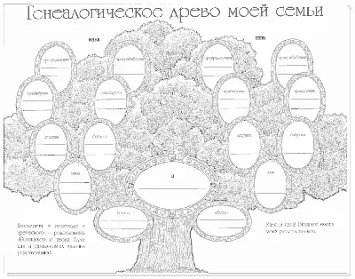 Генеалогическое древо семьи | МАДОУ Детский сад № 14 г.Липецка