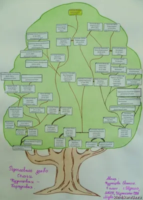 Генеалогическое древо семьи- формат А2- 4 листа А4