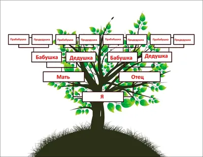 Древо семьи рисунок - 66 фото