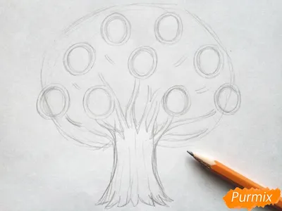 Моя семья дерево PNG , вектор материал, счастливая семья, счастливая семья  PNG картинки и пнг PSD рисунок для бесплатной загрузки