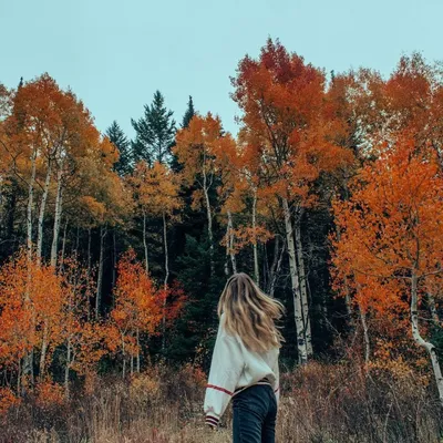 Девушка в горах осенью со спины - 50 фото