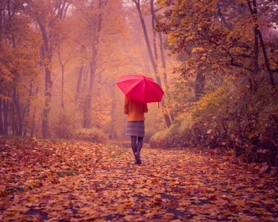 Веселитесь в осеннем лесу - красная девушка с зонтиком наслаждается  природой Стоковое Изображение - изображение насчитывающей кавказско,  потеха: 160816547