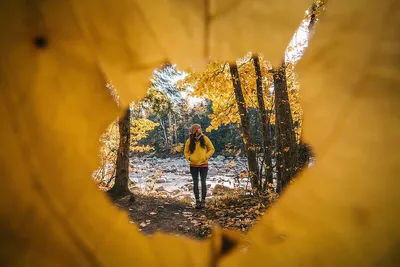 Как правильно фотографироваться осенью? Пособие для гламурных девушек