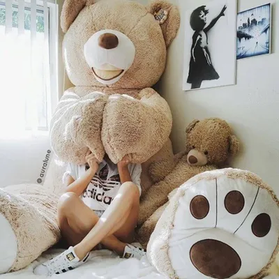 Фото девушек с большим плюшевым медведем фото