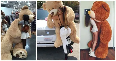 9 причин почему девушки любят огромных плюшевых медведей