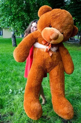 Печальная девушка с большим плюшевым медведем и шарики в парке Проблемы  подростков в школе Стоковое Изображение - изображение насчитывающей утеха,  девушка: 162641013