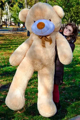 Плюшевый мишка Разные Цвета и Размеры. Самый огромный Большой плюшевый  медведь мишка Подарок для девушки (ID#1945028478), цена: 1450 ₴, купить на  Prom.ua