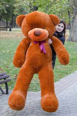 100-200 см Огромный большой плюшевый мишка, кожаная оболочка, плюшевая  игрушка, кукла, полуготовый продукт, подарок для девушки, женская игрушка  для взрослых, чехол с большим медведем | AliExpress