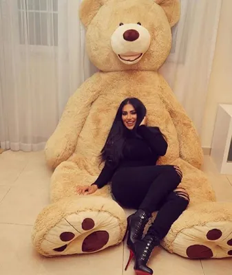 Портрет счастливой студенческой девушки с большим плюшевым медведем  Стоковое Изображение - изображение насчитывающей кавказско, люди: 165898367