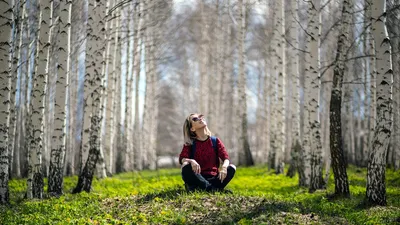 Девушка сидит на бревне в лесу над ручьем Stock Photo | Adobe Stock