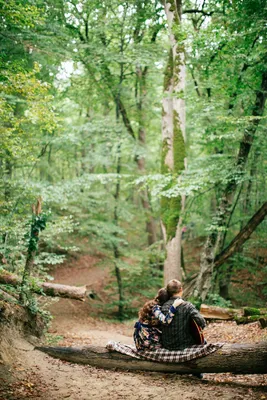Девушка в лесу на дереве стоковое фото. изображение насчитывающей бобра -  186936894