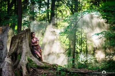 Типичные сюжеты digital art: девушка в туманном лесу — Российское фото